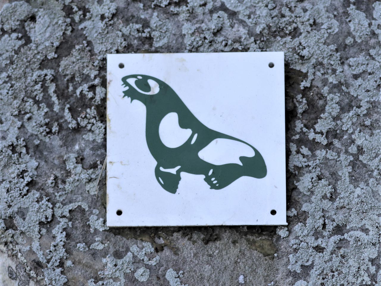 seal-motif-trail-marker-robberg-nature-reserve